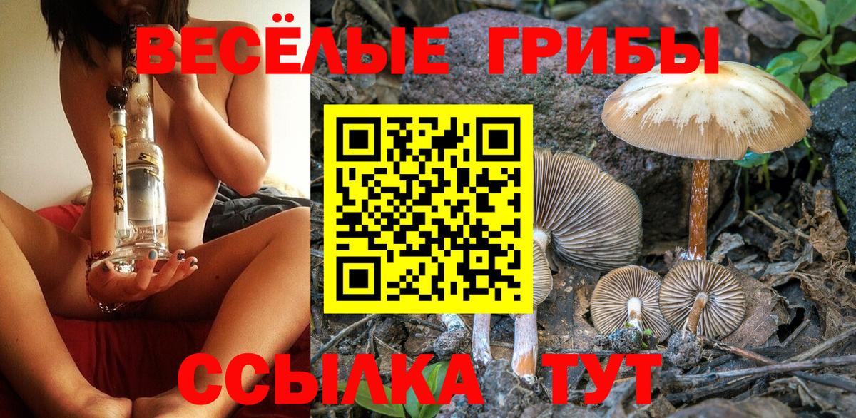 Галлюциногенные грибы прущие грибы Уссурийск