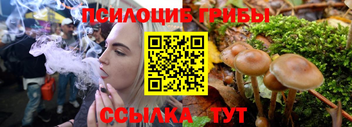 Уссурийск  Псилоцибиновые грибы Psilocybine cubensis  Вход с VPN 